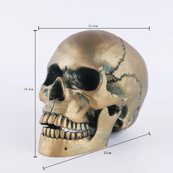 Копия модели человеческого черепа 2021 года, Учебные принадлежности, Модель Черепа из смолы, украшение для Хэллоуина, Статуя
